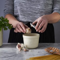 Mason Cash Innovative Kitchen Garlic Storage & Grater -All-Clad Shop garlic4