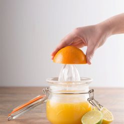 Kilner Swing Top Glass Jar With Juicer | 17 Oz -All-Clad Shop kilner clip top jar with juicer 1 scaled