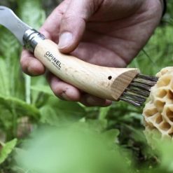 Opinel No.8 Mushroom Knife 6 Opinel No.8 Mushroom Knife -All-Clad Shop rsz img 0242 183 800x 1